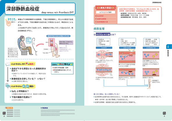 循環器編のサンプル