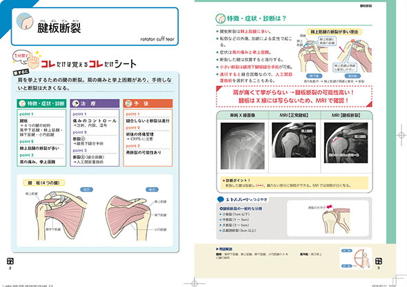 整形外科編のサンプル